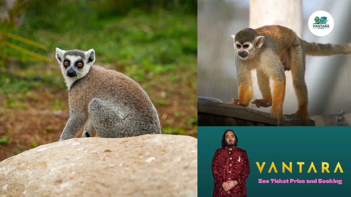 Vantara jamnagar Zoo Ticket Price and Booking