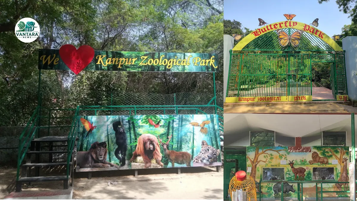 Kanpur Zoo