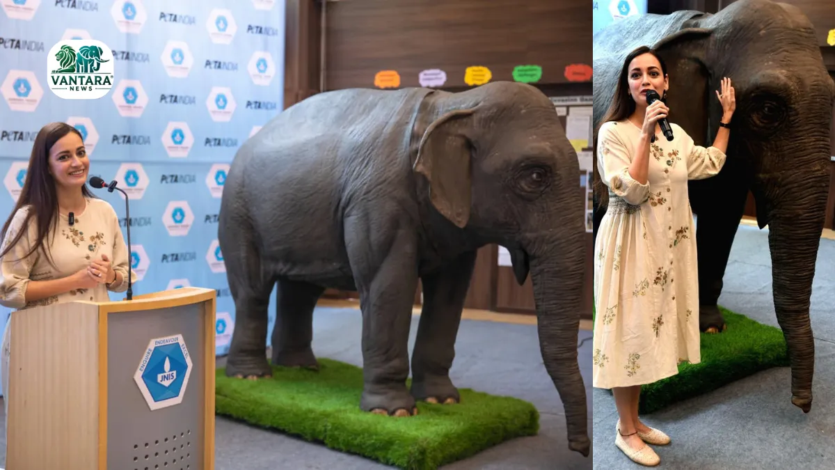 Asia First Empathy-Building Animatronic Elephant