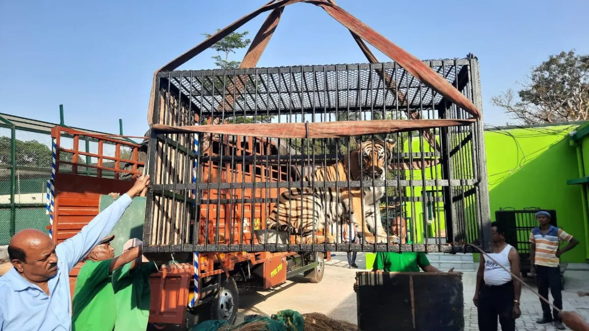 Tata zoo welcome Bangal tiger