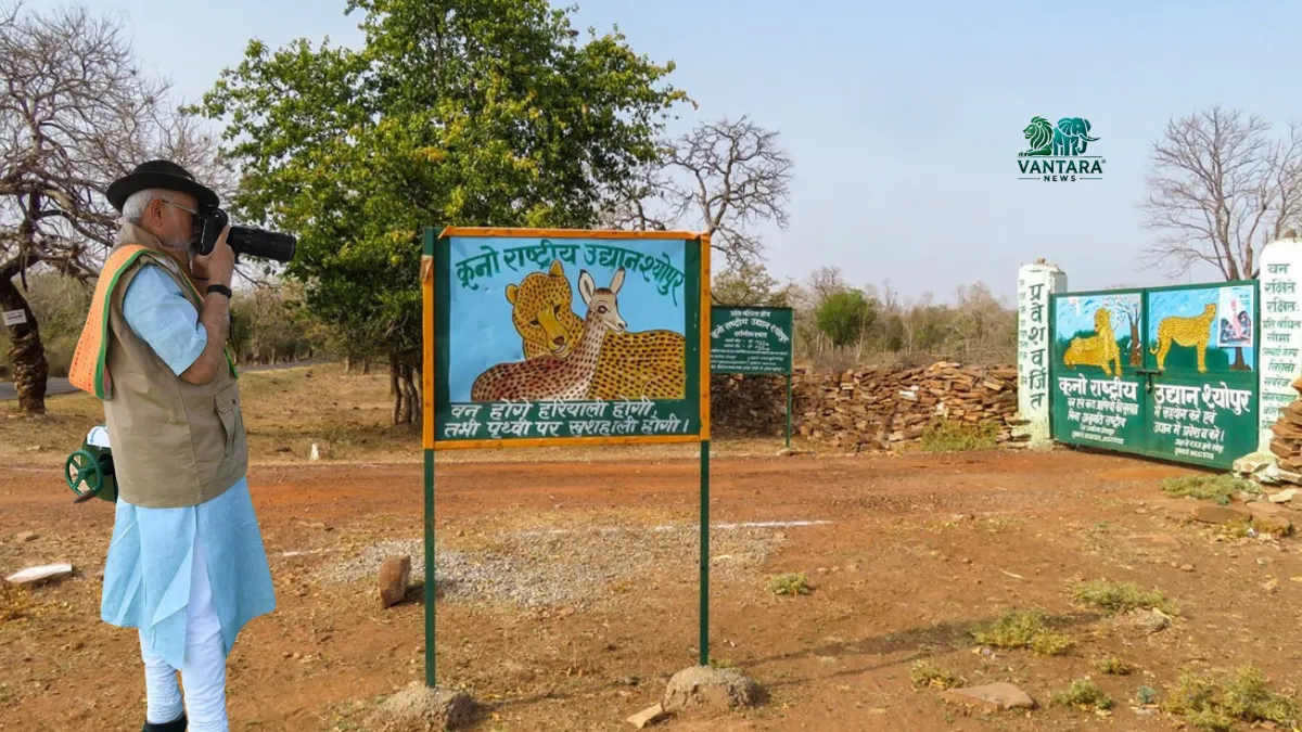Kuno National Park