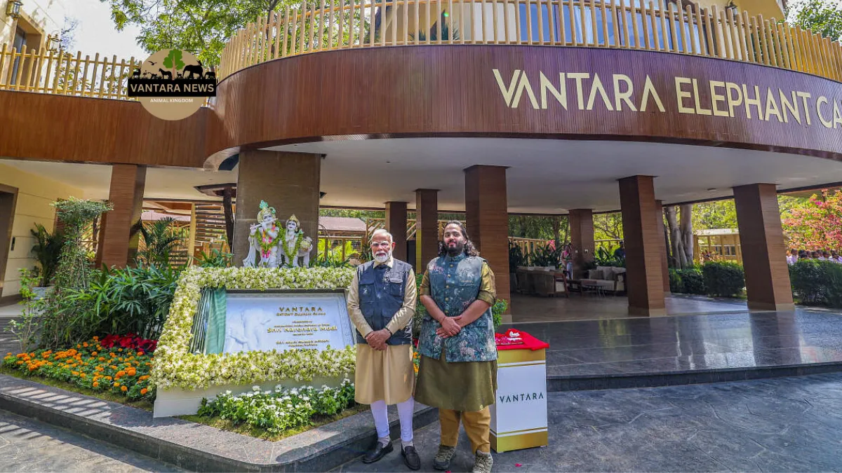 Prime Minister Narendra Modi Visit to Vantara