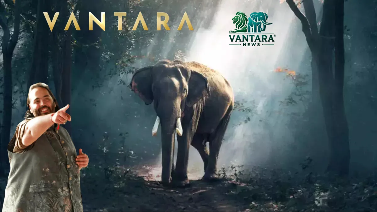 Vantara